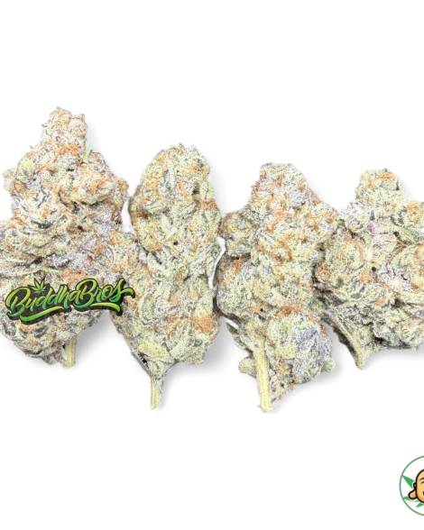 Blueberry Pie