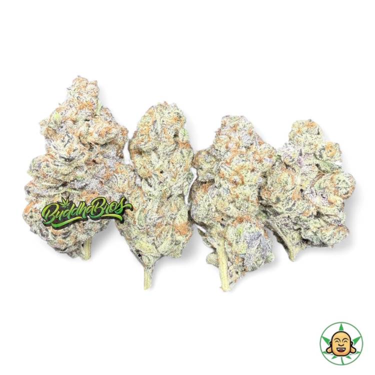 Blueberry Pie