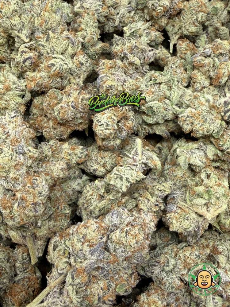 Blueberry Pie