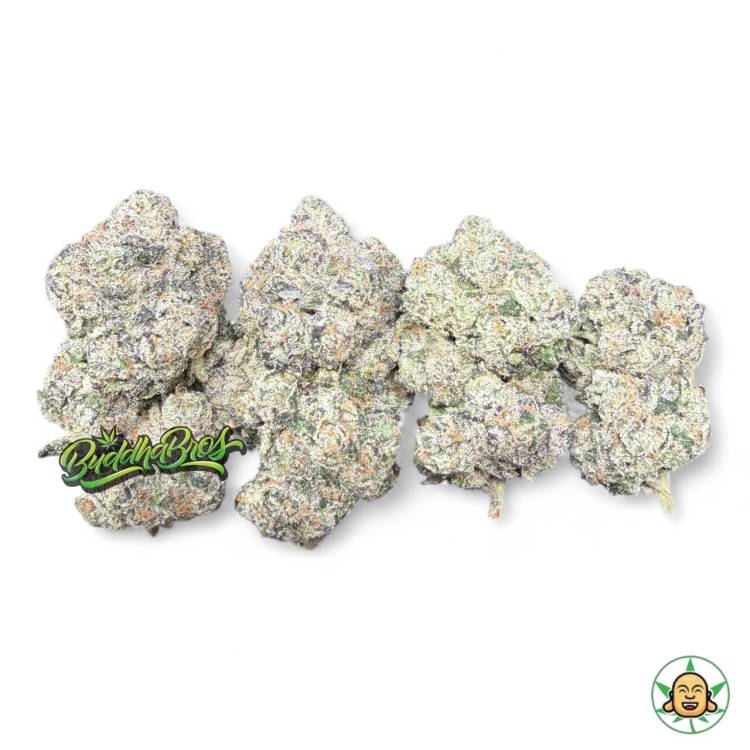 Black Cherry Funk