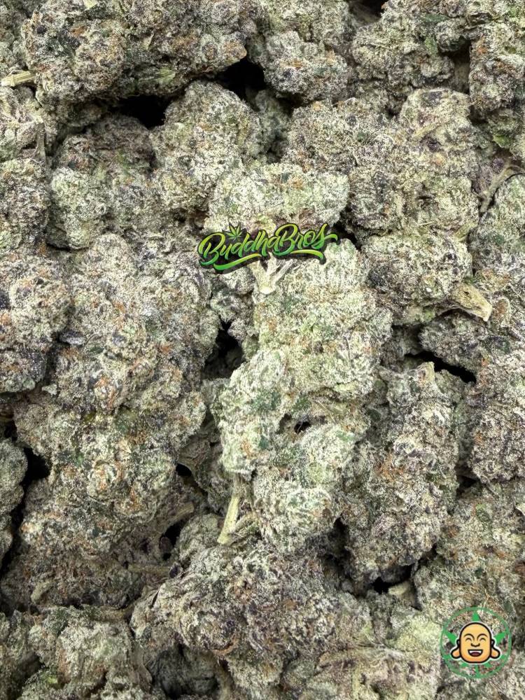 Black Cherry Funk