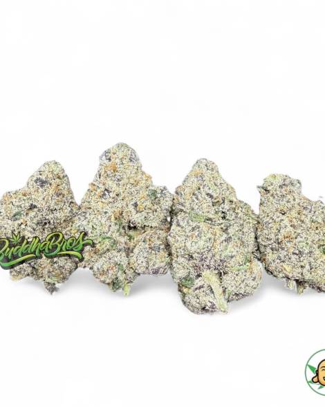 Purple Pez