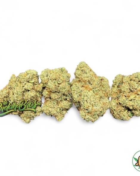Royal OG