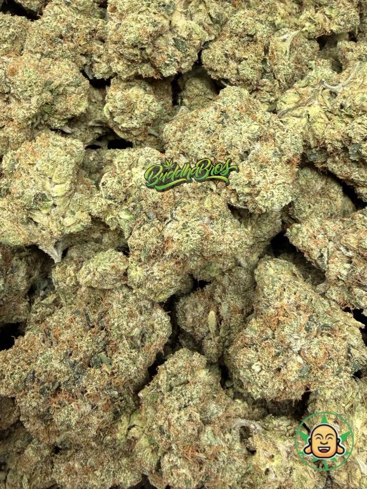 Royal OG