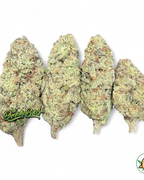 Mule Fuel