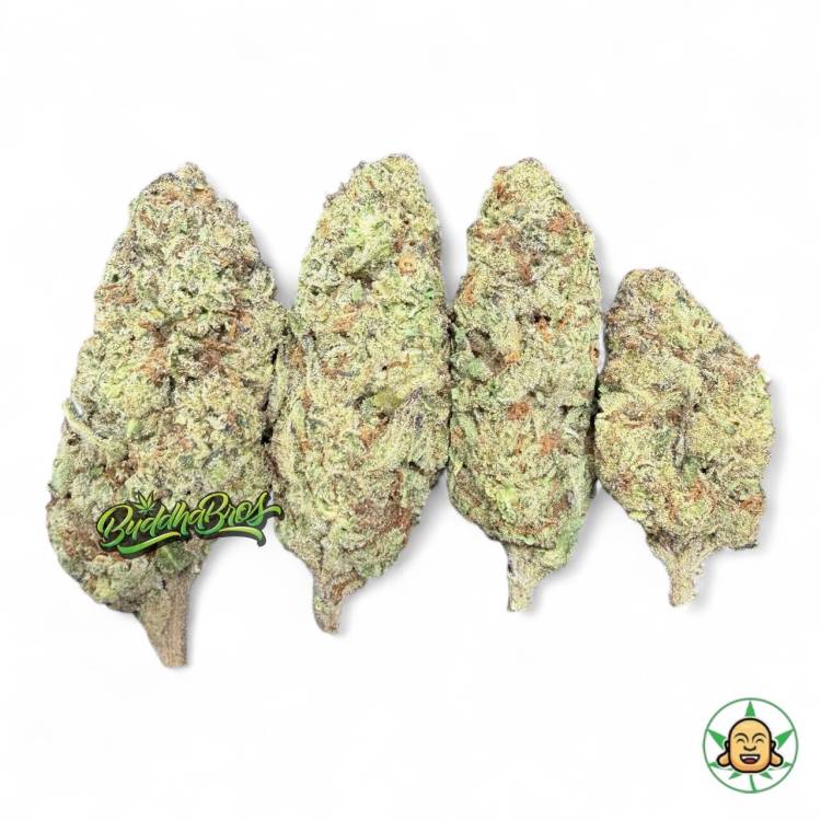 Mule Fuel