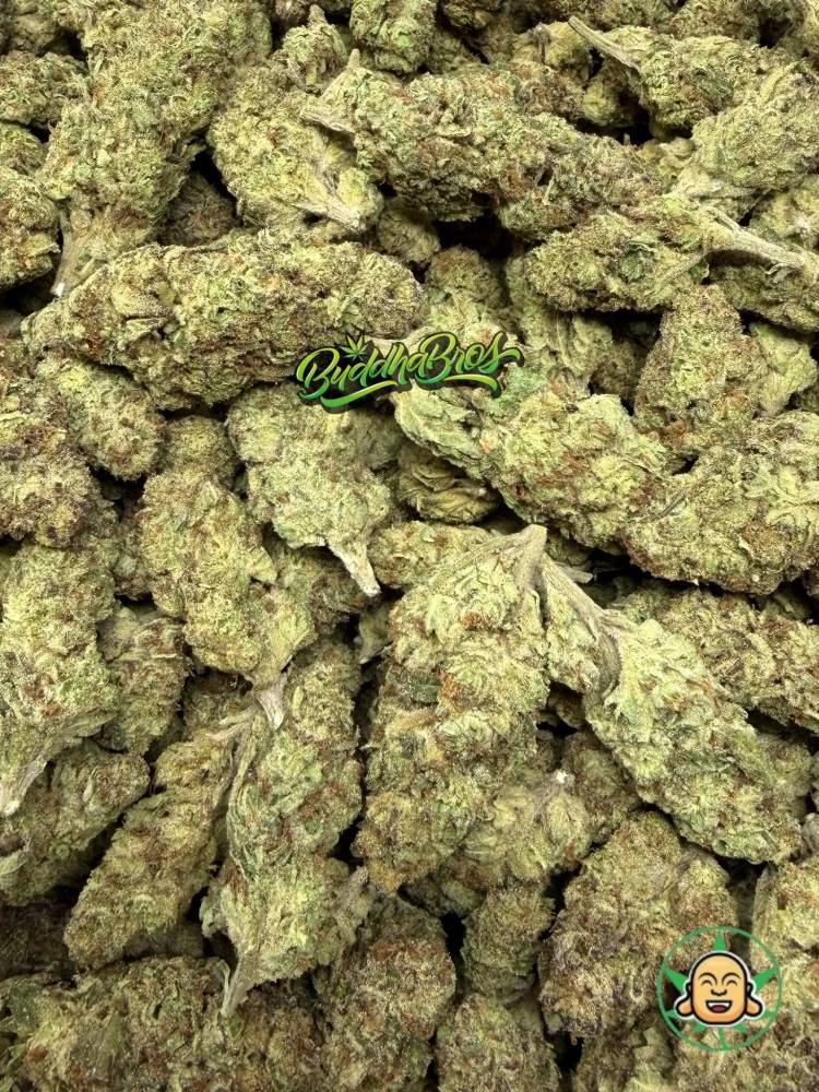 Mule Fuel