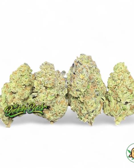 Super Soaker