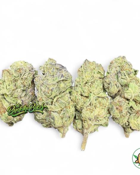 Jet Fuel