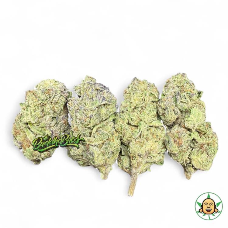 Jet Fuel