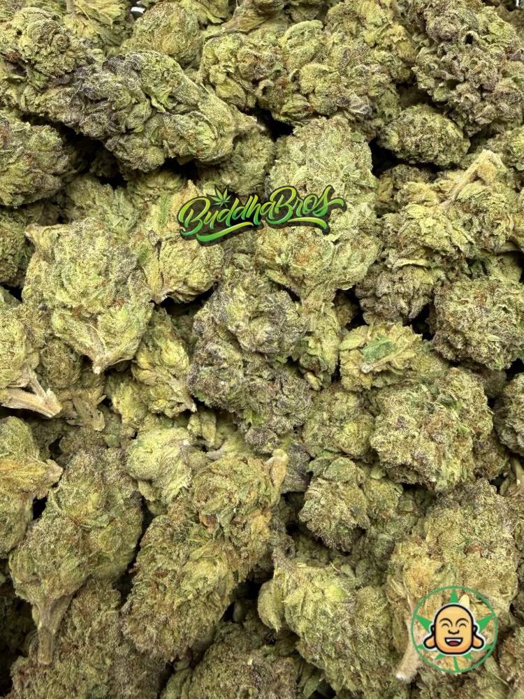 Jet Fuel