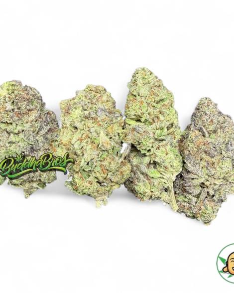Blue Skunk