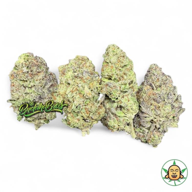 Blue Skunk
