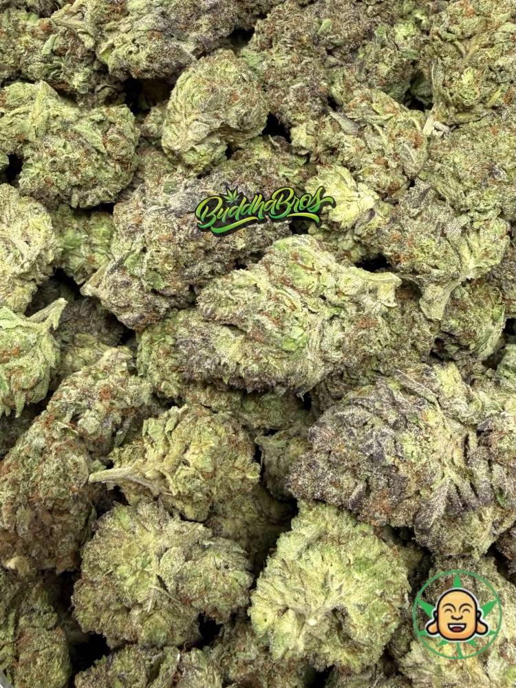 Blue Skunk