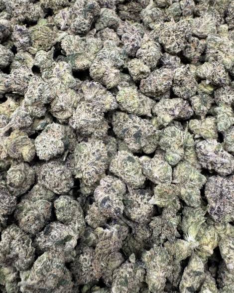 Frosted Donut Smalls