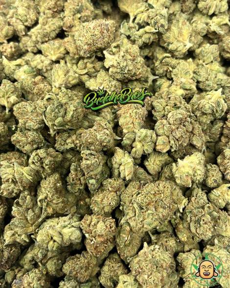 Malibu Pure Kush Smalls