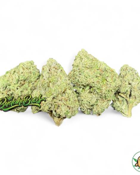 White Gummiez