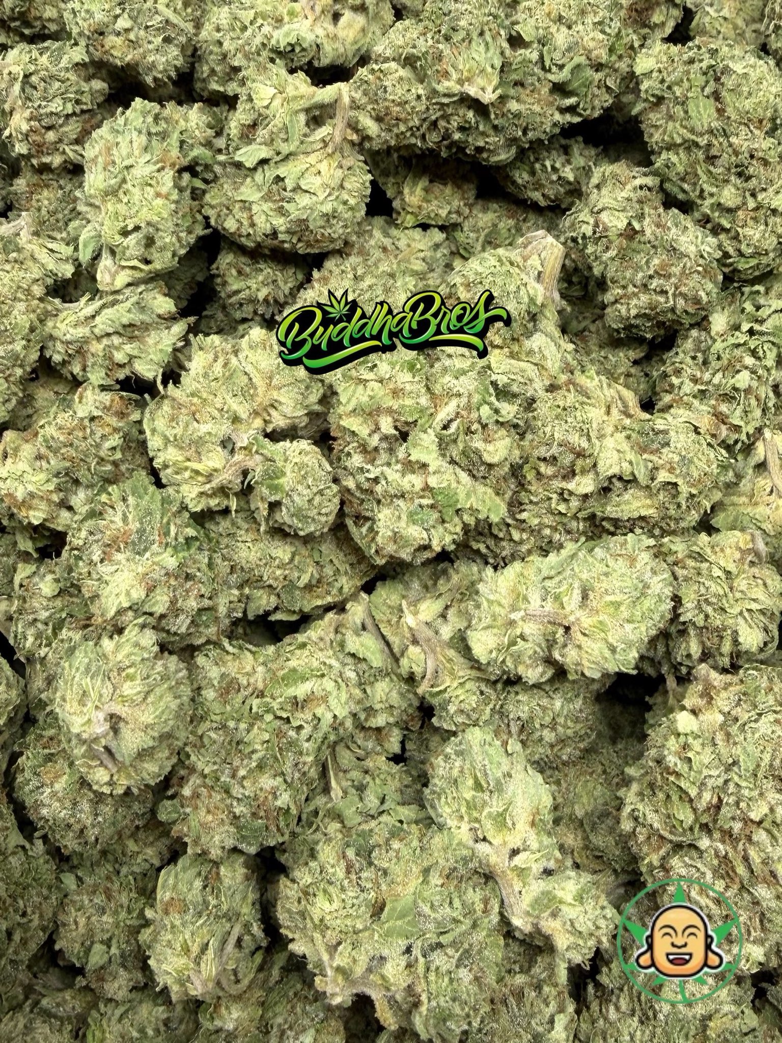 White Gummiez