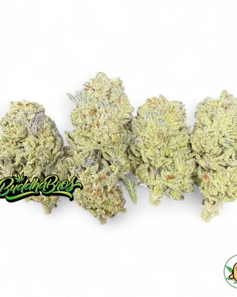 Lemon Betty 10