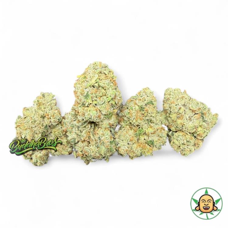 SFV OG