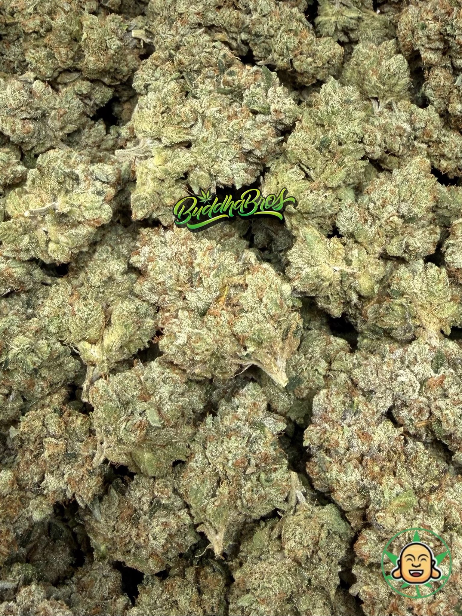 Skywalker OG - Image 2