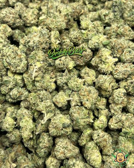 Lemon Cherry Gelato Smalls