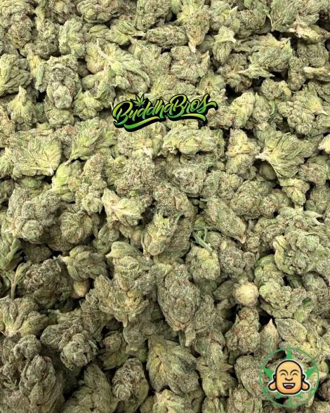 King Louis OG Smalls