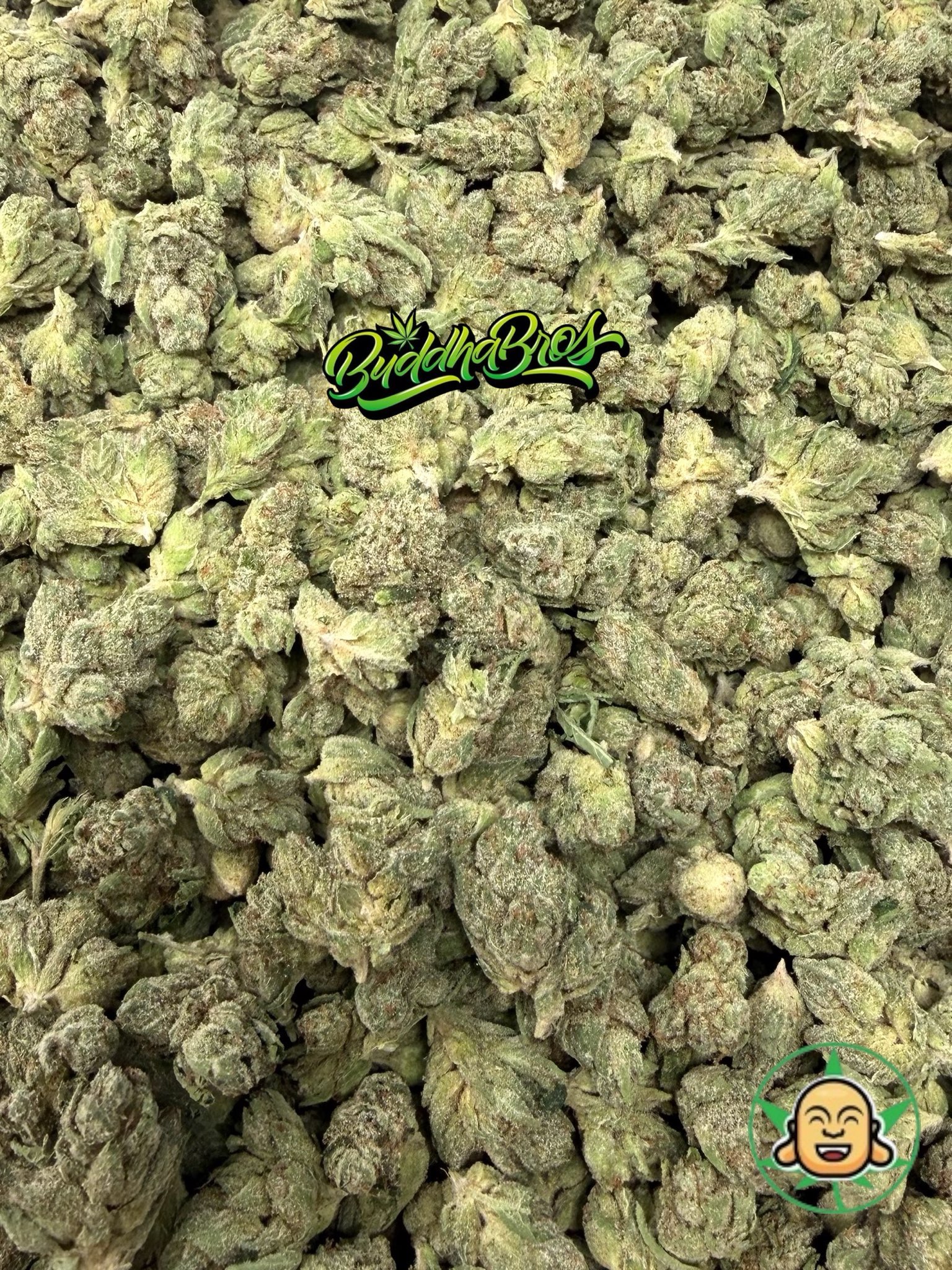 King Louis OG Smalls