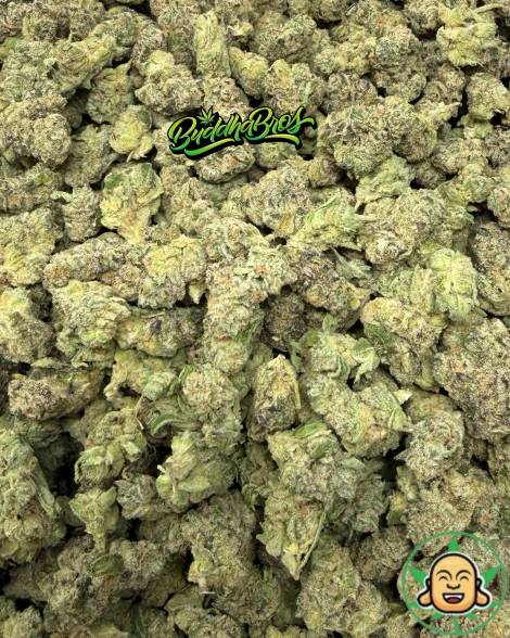 Blueberry Gelato Mediums