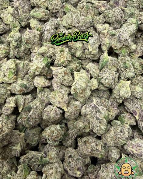 Dirty Sprite Mediums