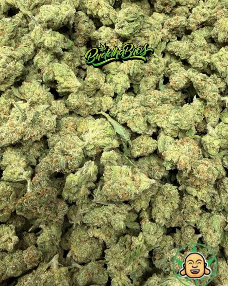 Super Lemon Haze Smalls