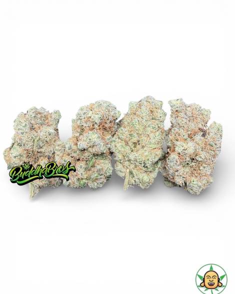 Zkittles Mintz