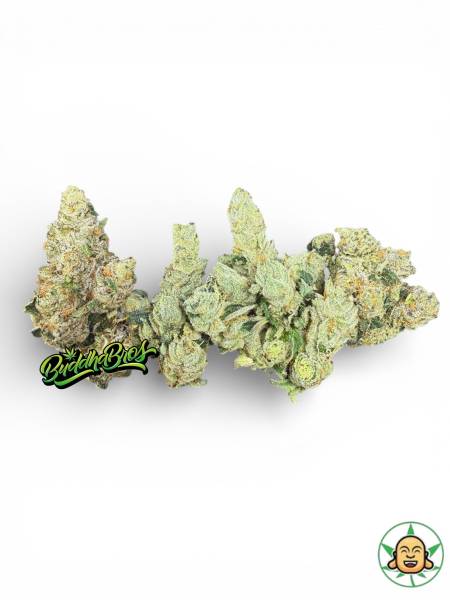 Jet Fuel OG