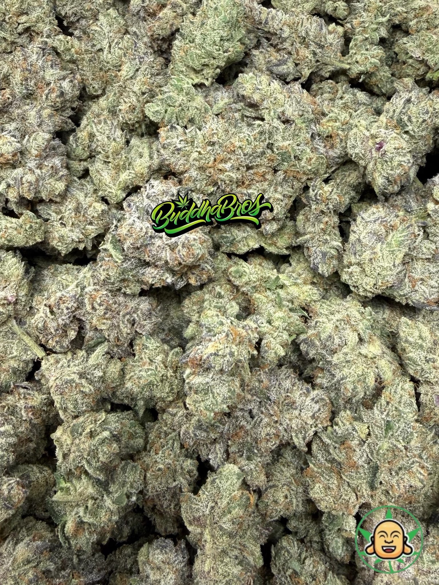 Zordon Breath - Image 2