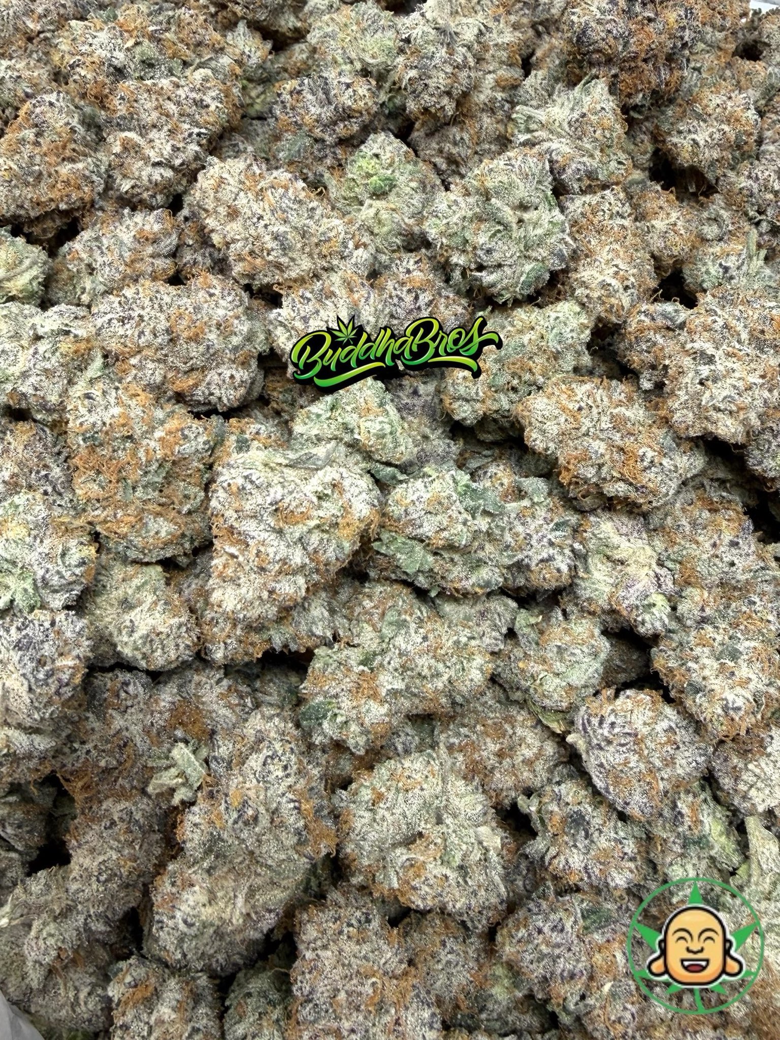 HFCS (High Fructose Corn Syrup) - Image 2