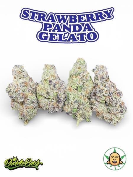 Strawberry Panda Gelato