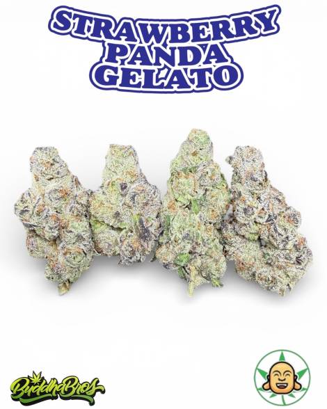 Strawberry Panda Gelato