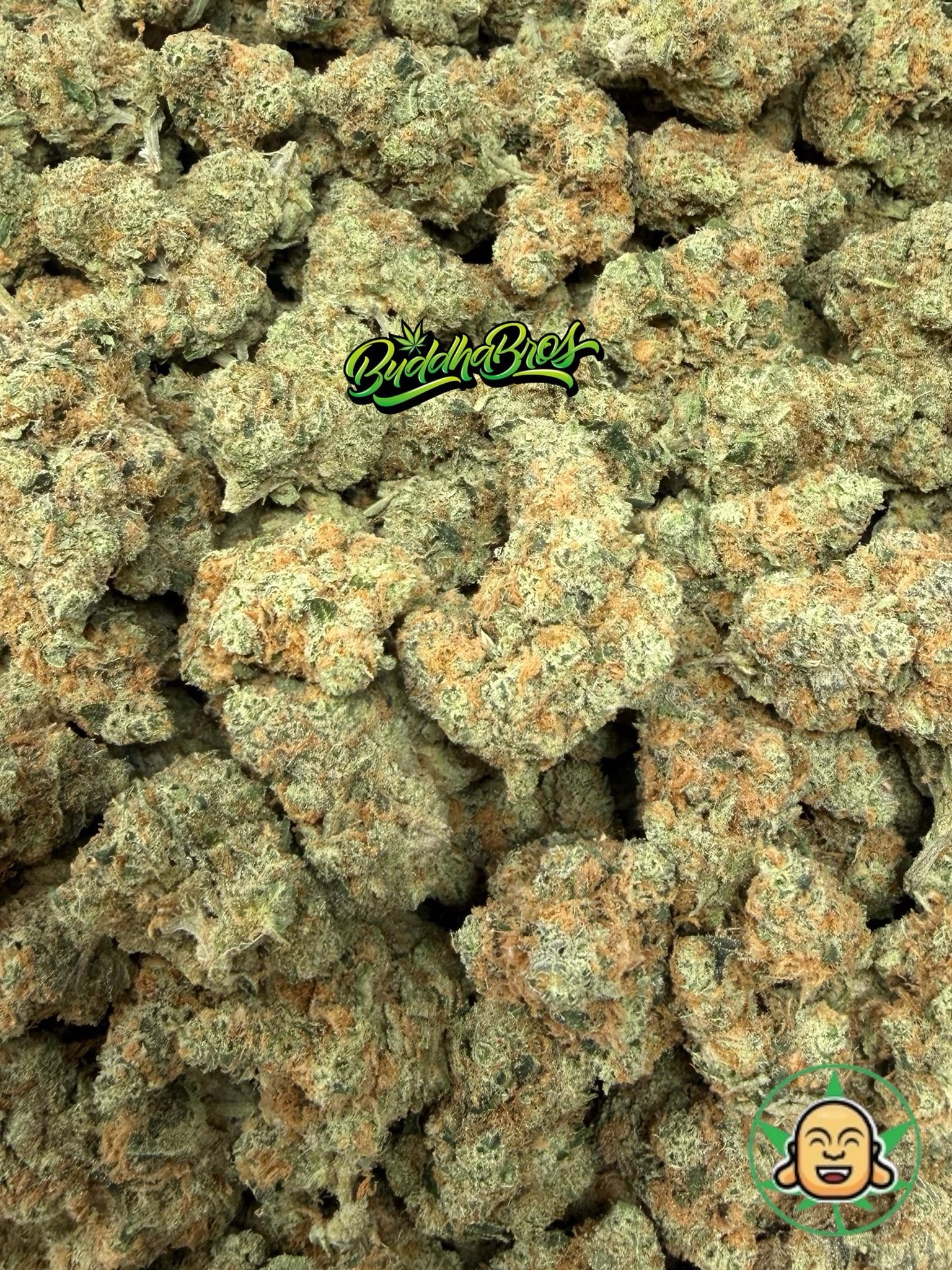 Apricot OG - Image 2