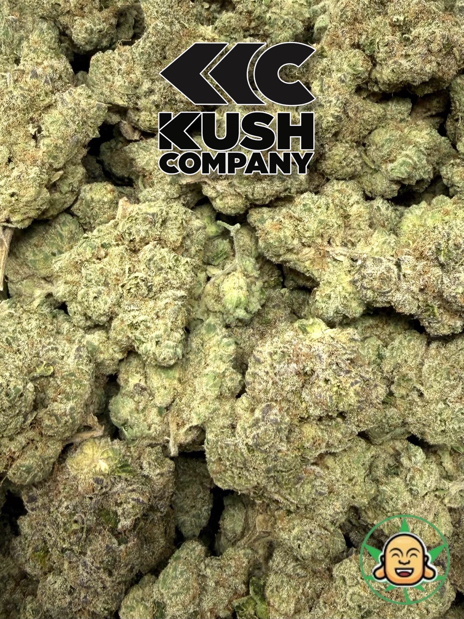 Turbo Sherb OG BY KushCo - Image 2