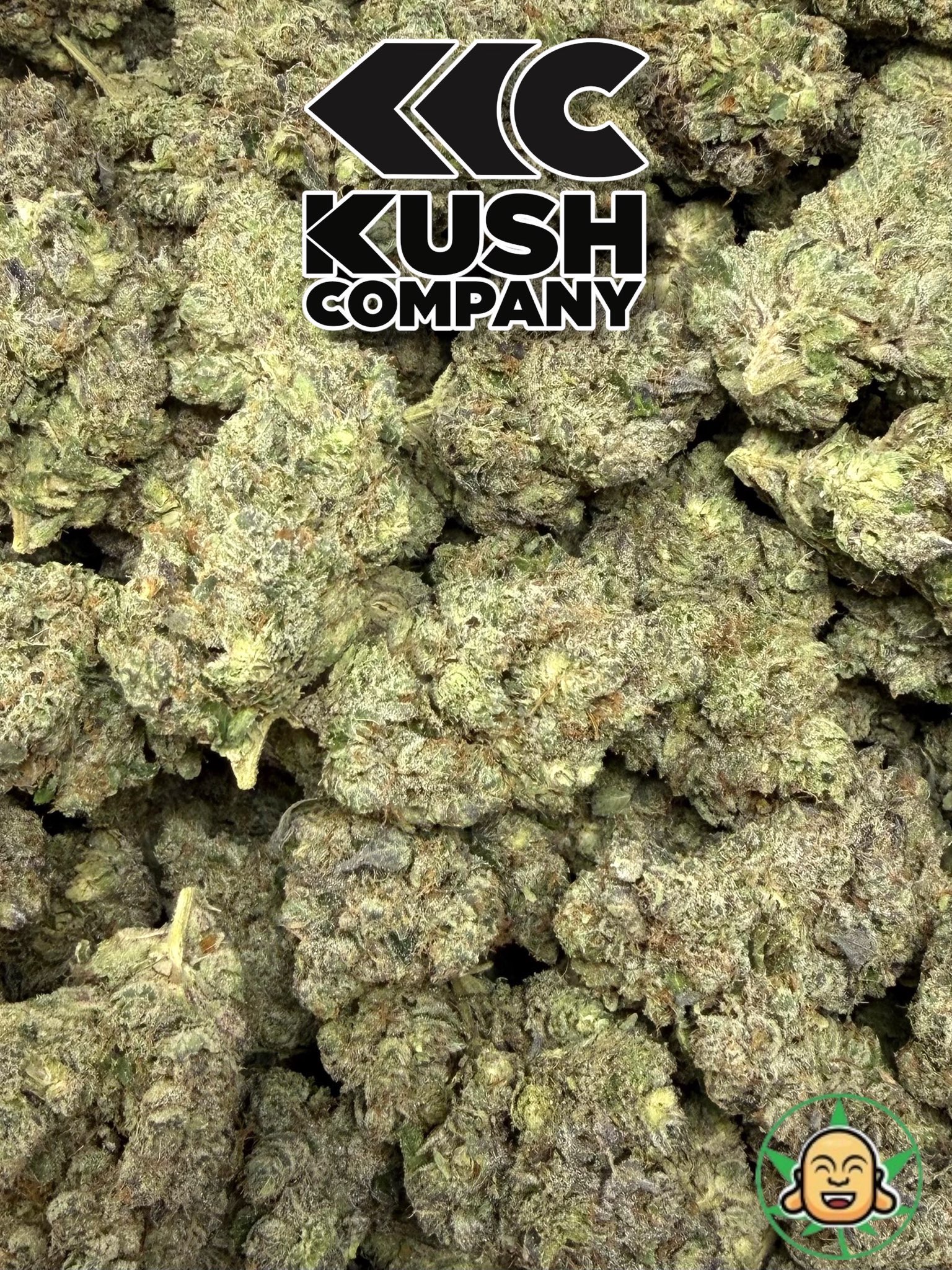 Wild Bill By KushCo - Image 2