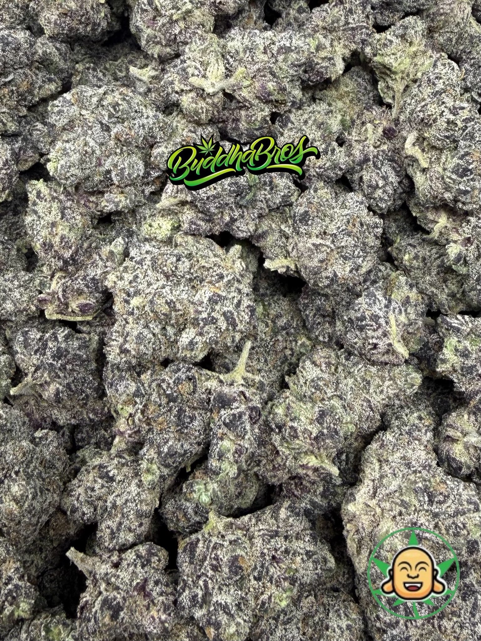 Crazy Girl - Image 2