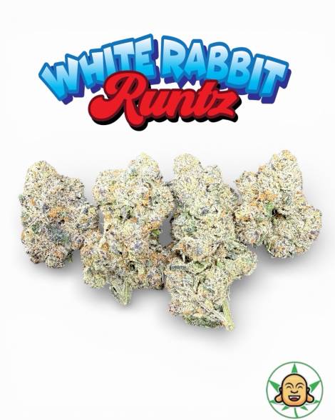 White Rabbit Runtz