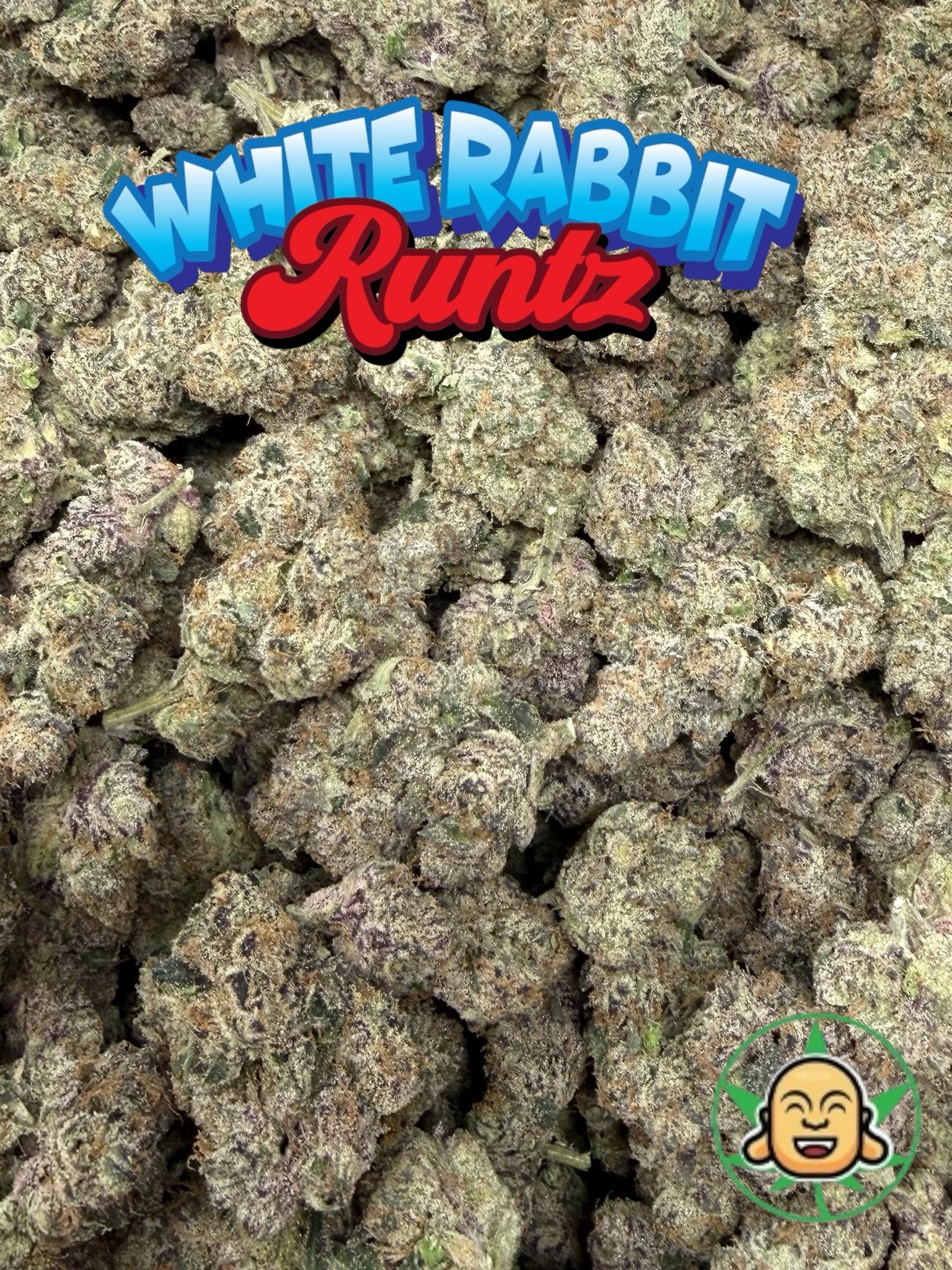 White Rabbit Runtz by BuddhaBrosLA - Image 3