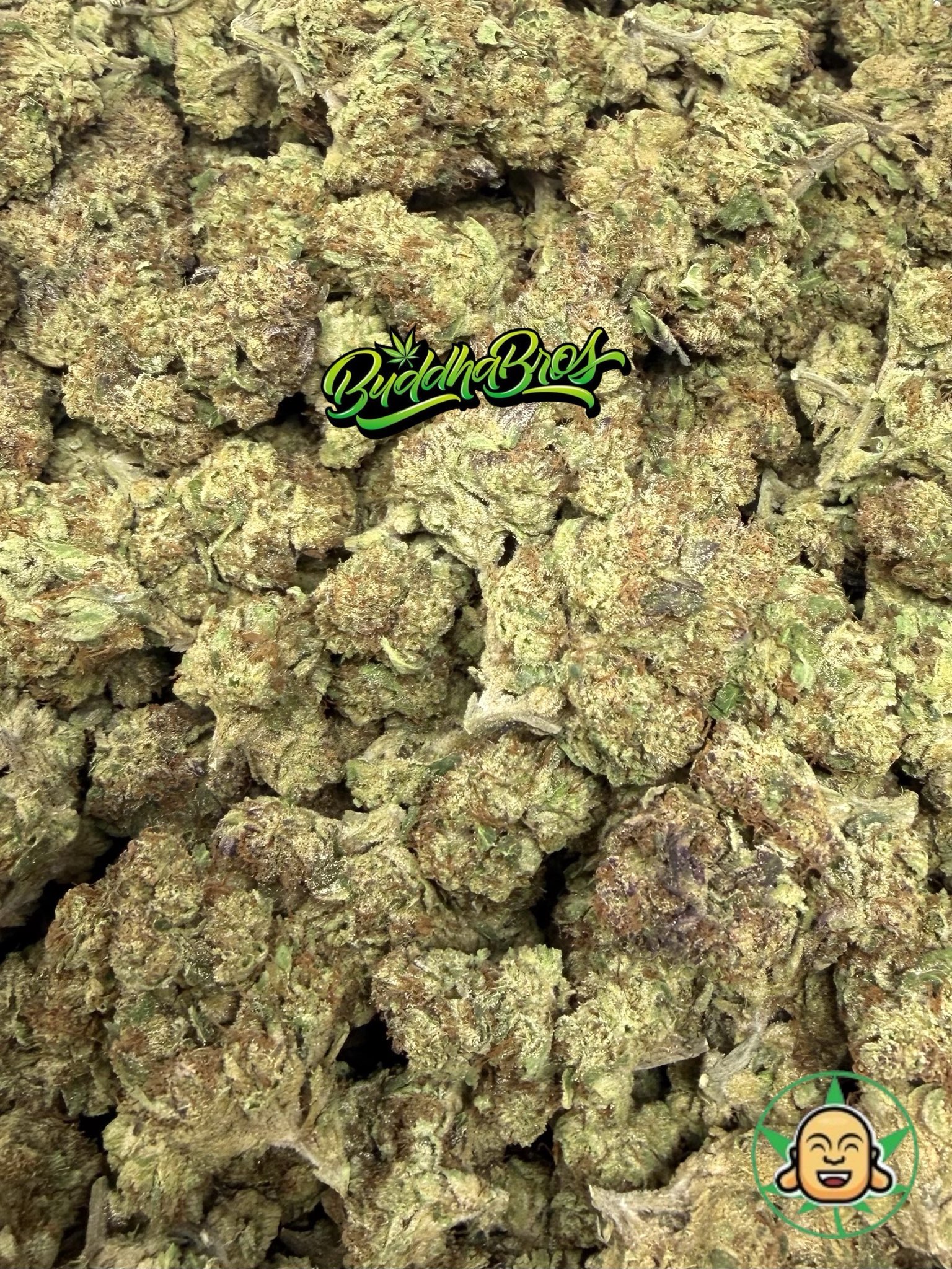 Candy Punch - Image 2