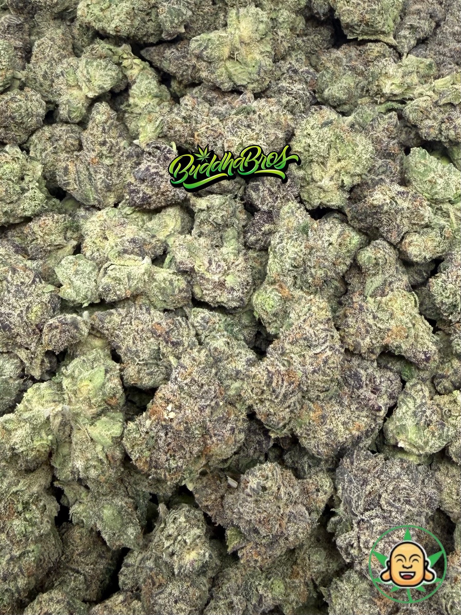 Kandy Kush - Image 2