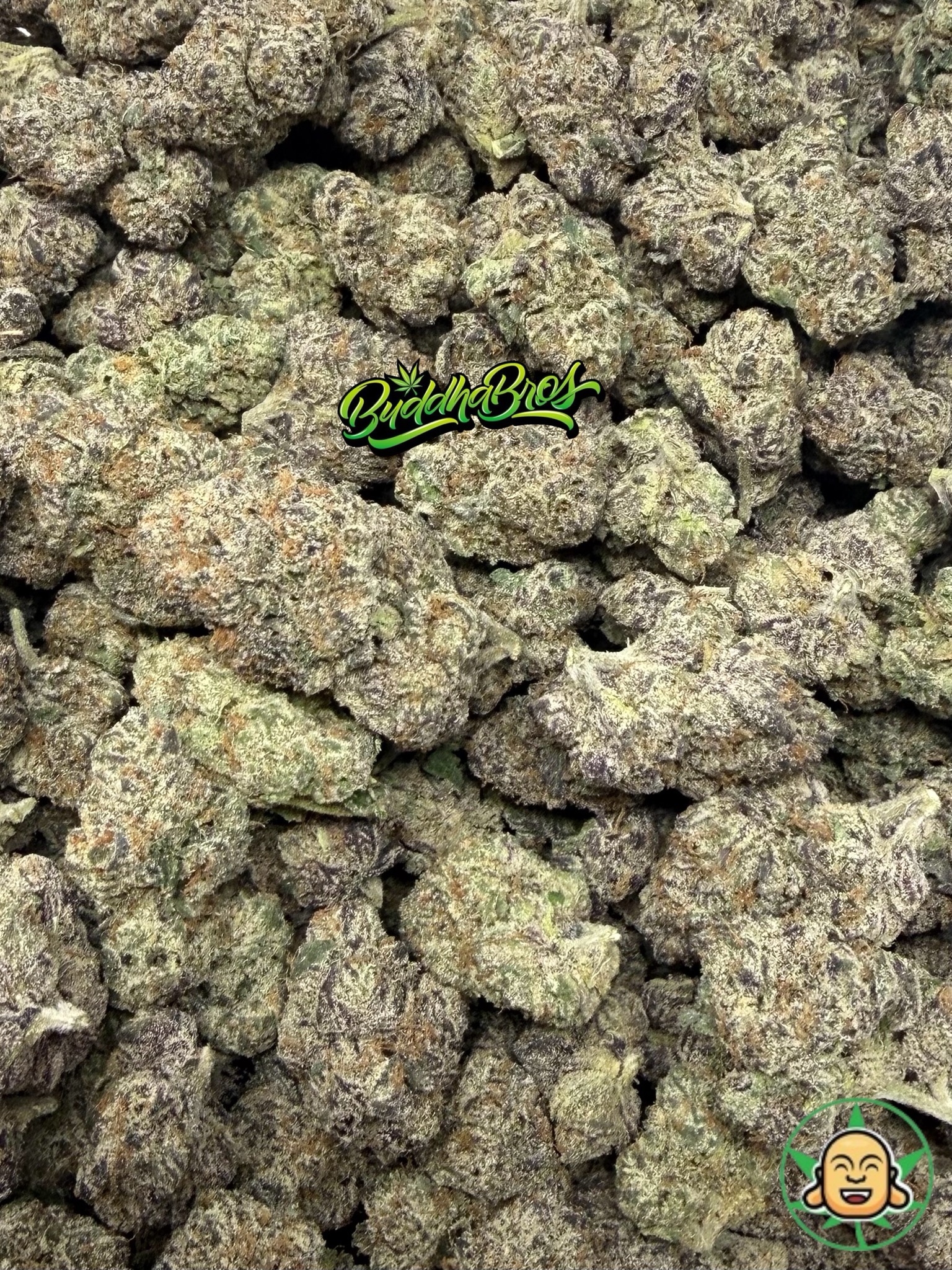 Lemon Cherry Gelato - Image 2