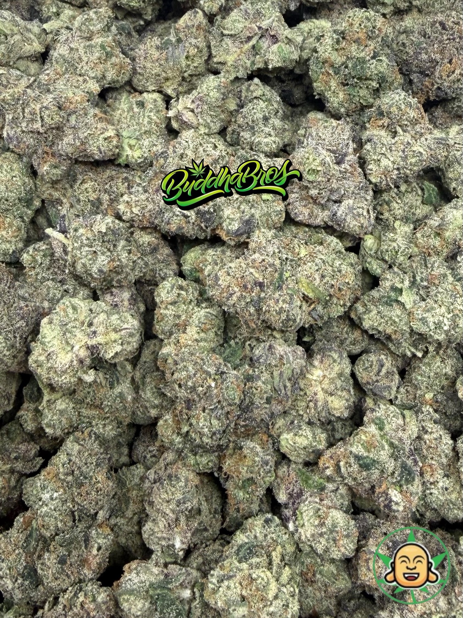 Nerd Ropes S1 - Image 2