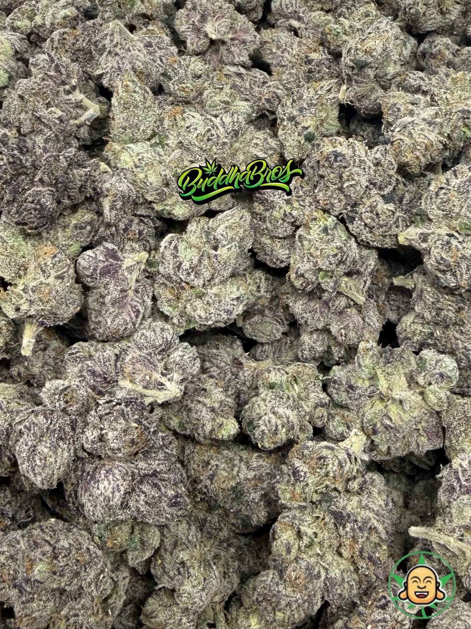 Bubblegum Runtz - Image 2