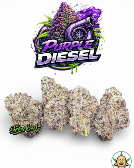 Purple Diesel