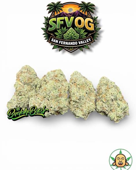 SFV OG